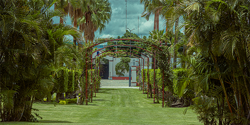 Jardín de los Arcos