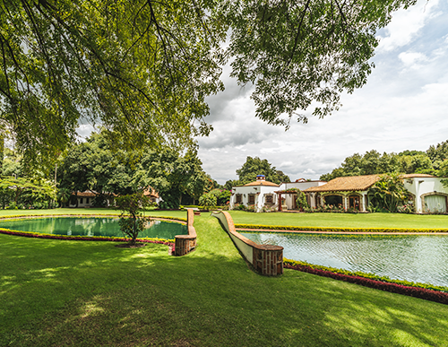 Jardín del lago