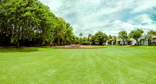 Jardín del lago