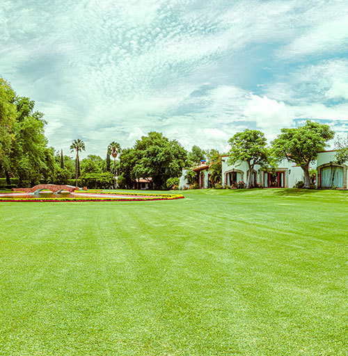 Jardín del lago