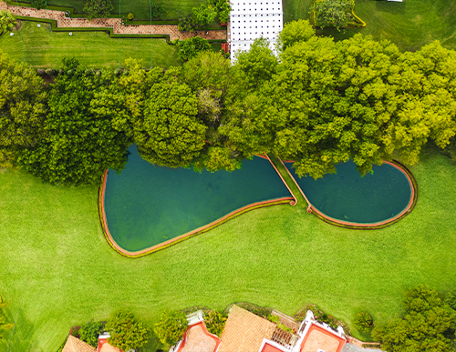 Jardín del lago