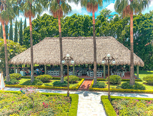 Palapa San Francisco