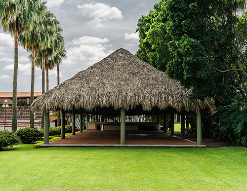 Palapa San Francisco